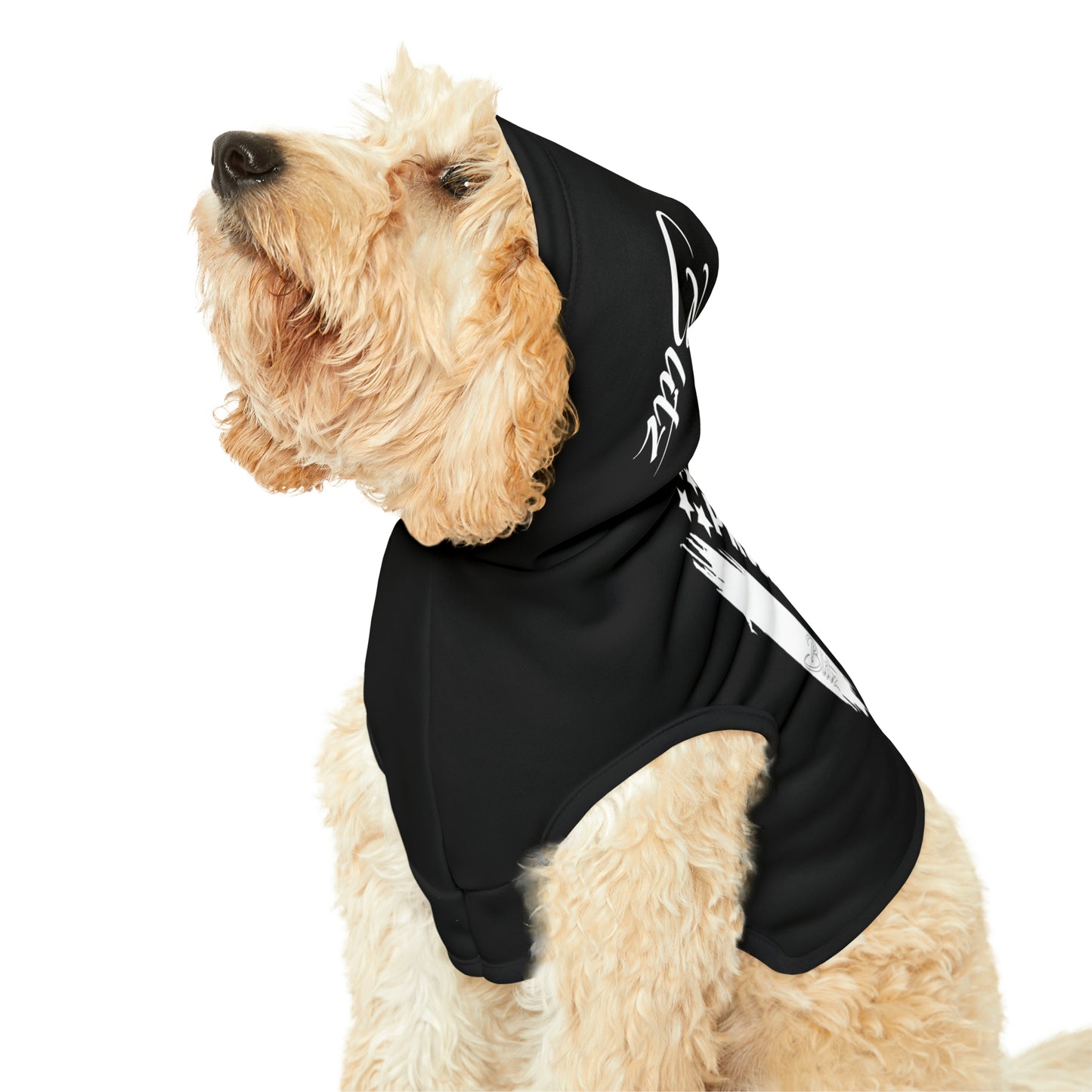 Dog Hoodie